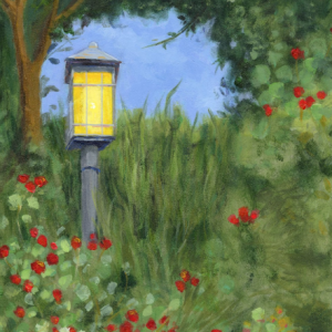 Robin’s Garden