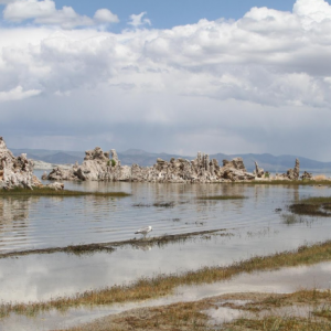 Clouds Over Mono Lake