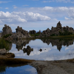 Reflecting Serenity