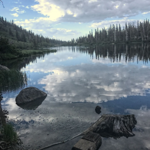 Twin Lakes