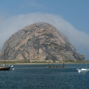 Morro Bay Foggy Crown