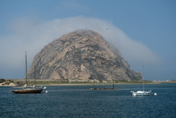 Morro Bay Foggy Crown
