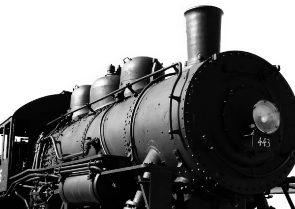Locomotion