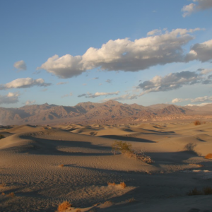 Sands of Solitude
