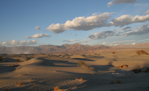 Sands of Solitude