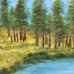 Virginia Lake Experience