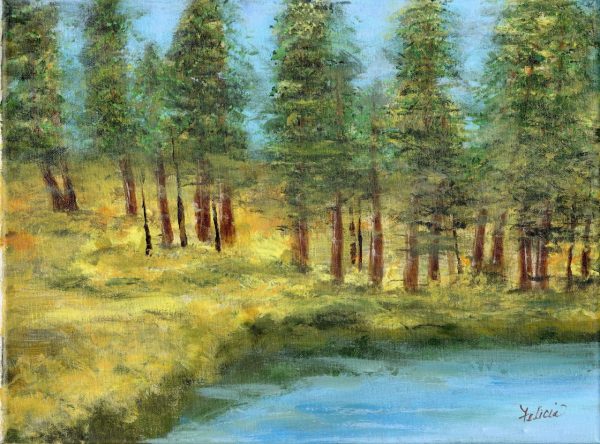 Virginia Lake Experience